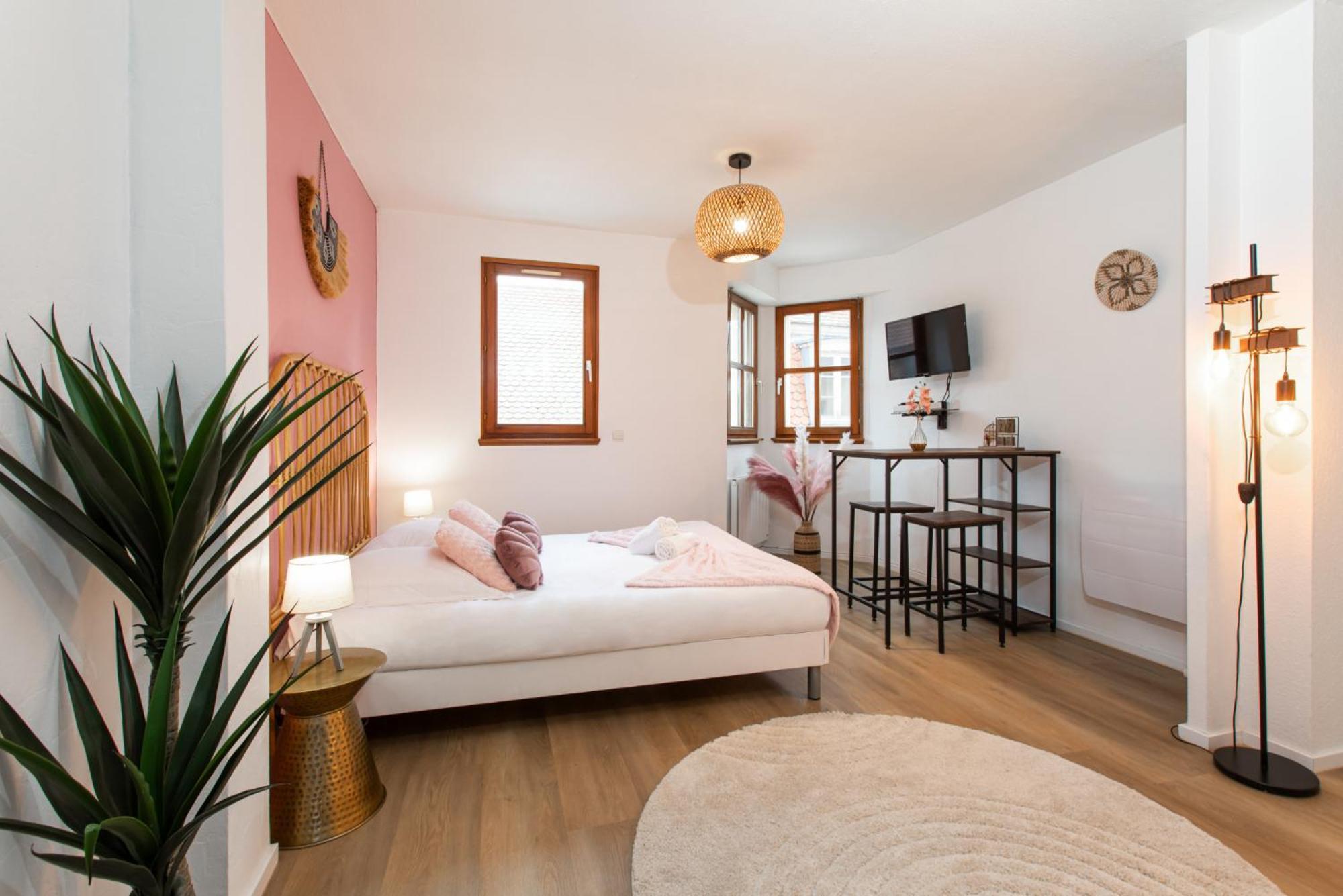 Nouveau - Le Discovery - Petite Venise Colmar Phòng bức ảnh